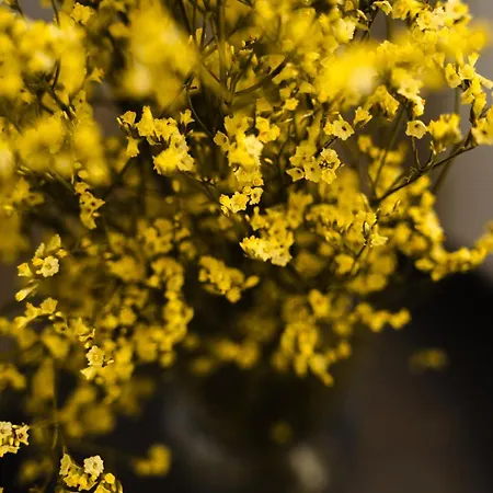 Casa vacanze Amy Agios Prokopis Agios Prokopios (Naxos)