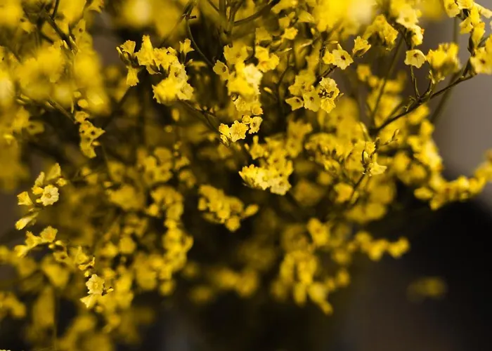 Vakantiehuis Amy Agios Prokopis Agios Prokopios (Naxos)